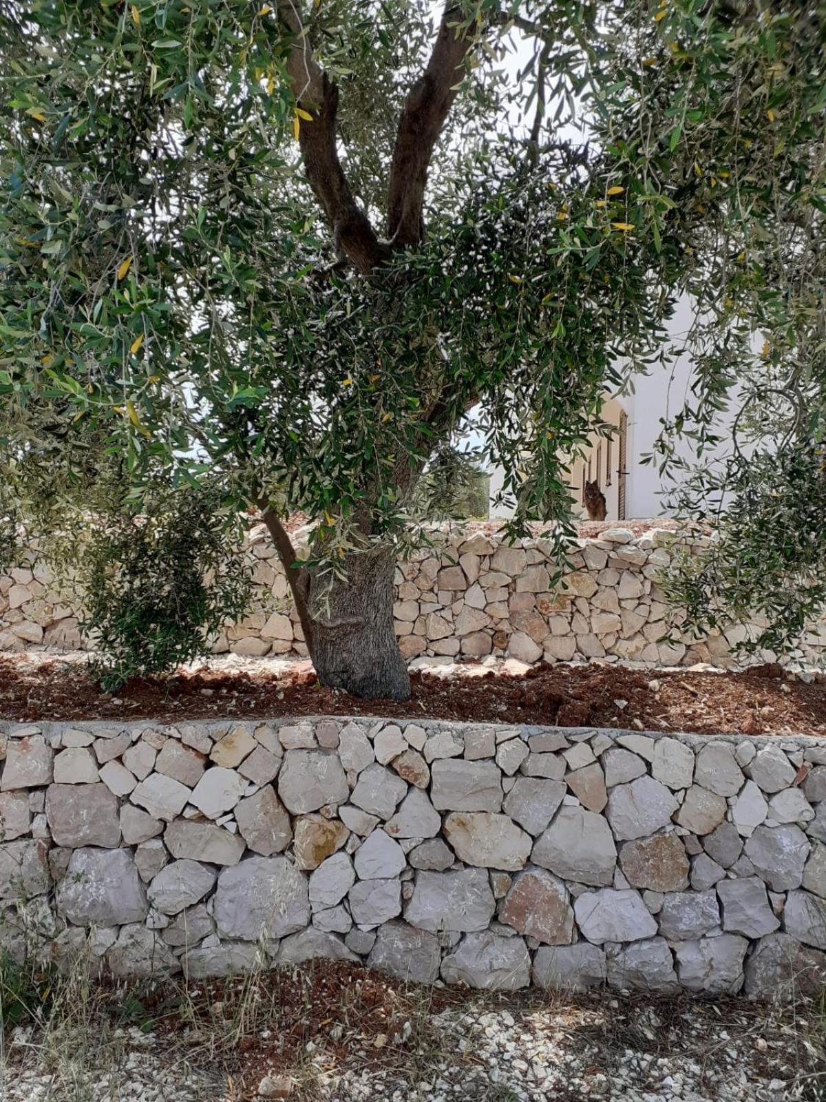Borgo Rosoli Vieste Exterior photo